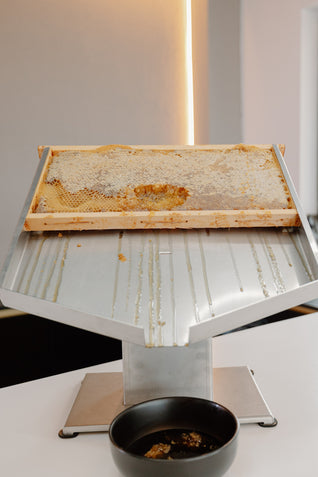 Experiență Degustare de Miere Apivest – Timișoara