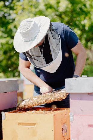 Recoltare responsabilă