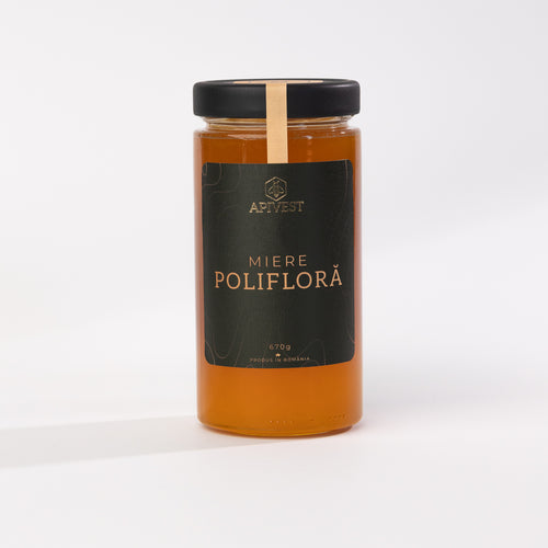 Miere Polifloră Apivest 670g