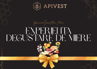 Experiență Degustare de Miere Apivest – Timișoara